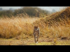 Night Vision Goggles - 5K Night Vision Binoculars for Adults, 5000mAh Rechargeable Infrared Binocula