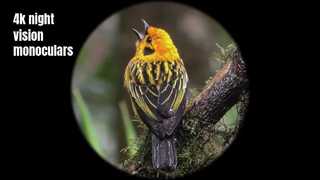 Ống nhòm một mắt nhìn đêm chất lượng cao 4K