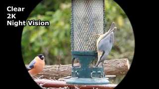 Kính nhìn đêm 2K quay video rõ nét