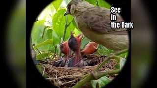 Quan sát kính nhìn đêm Hondigi